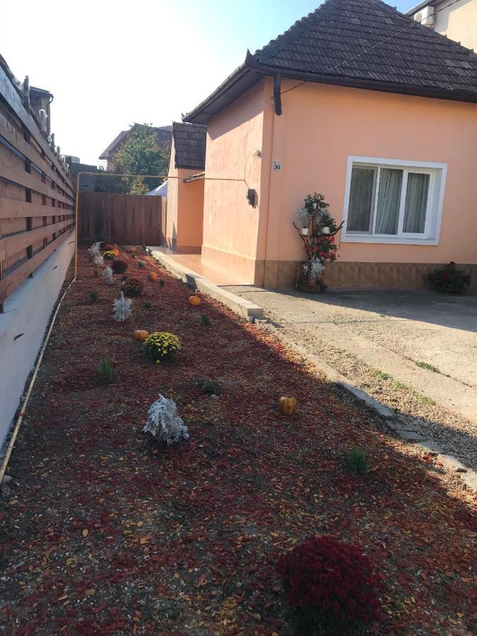 Vila Permissive Kluž Exteriér fotografie
